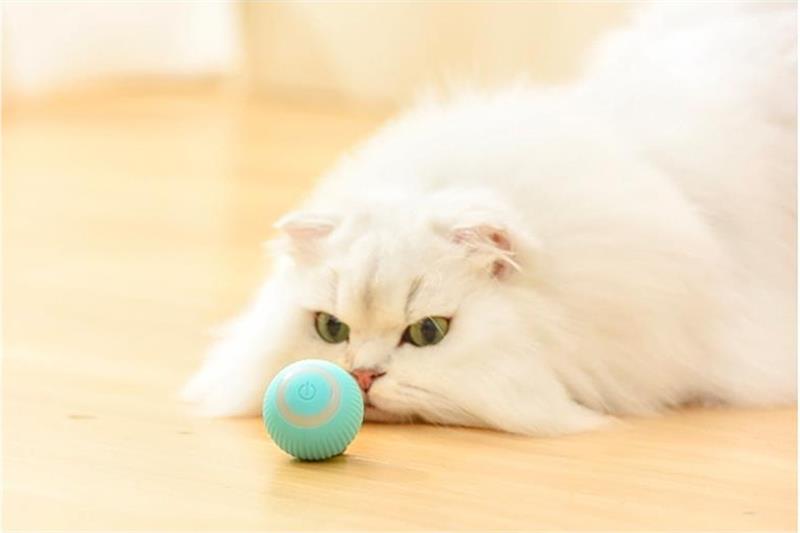 Electric Rolling Ball Buddy