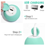 Electric Rolling Ball Buddy