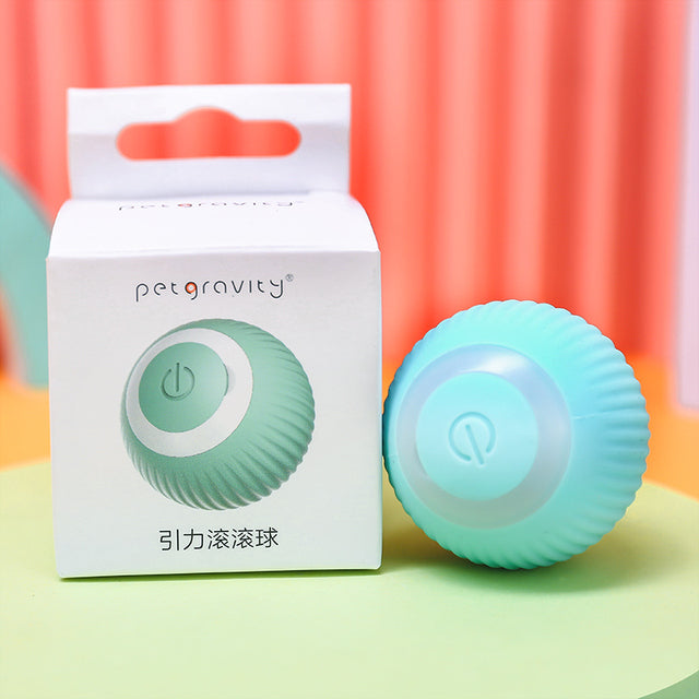 Electric Rolling Ball Buddy