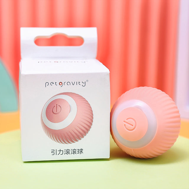 Electric Rolling Ball Buddy