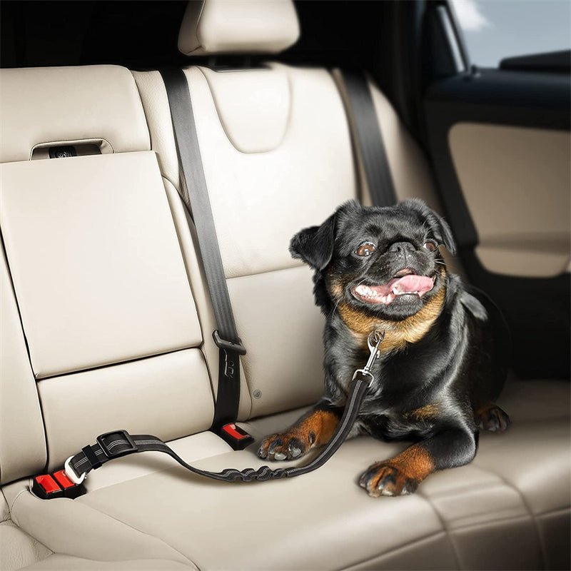 Durable Nylon Reflective Bungee Seat Belt For Car Safety - Pup Buddy