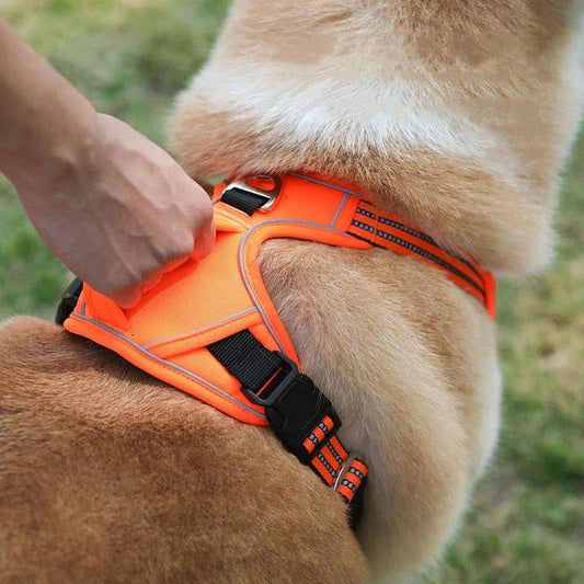 Premium Dog Harness Vest - Pup Buddy