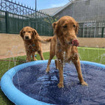 PupSplash™ Sprinkler Pet Pool - Pup Buddy
