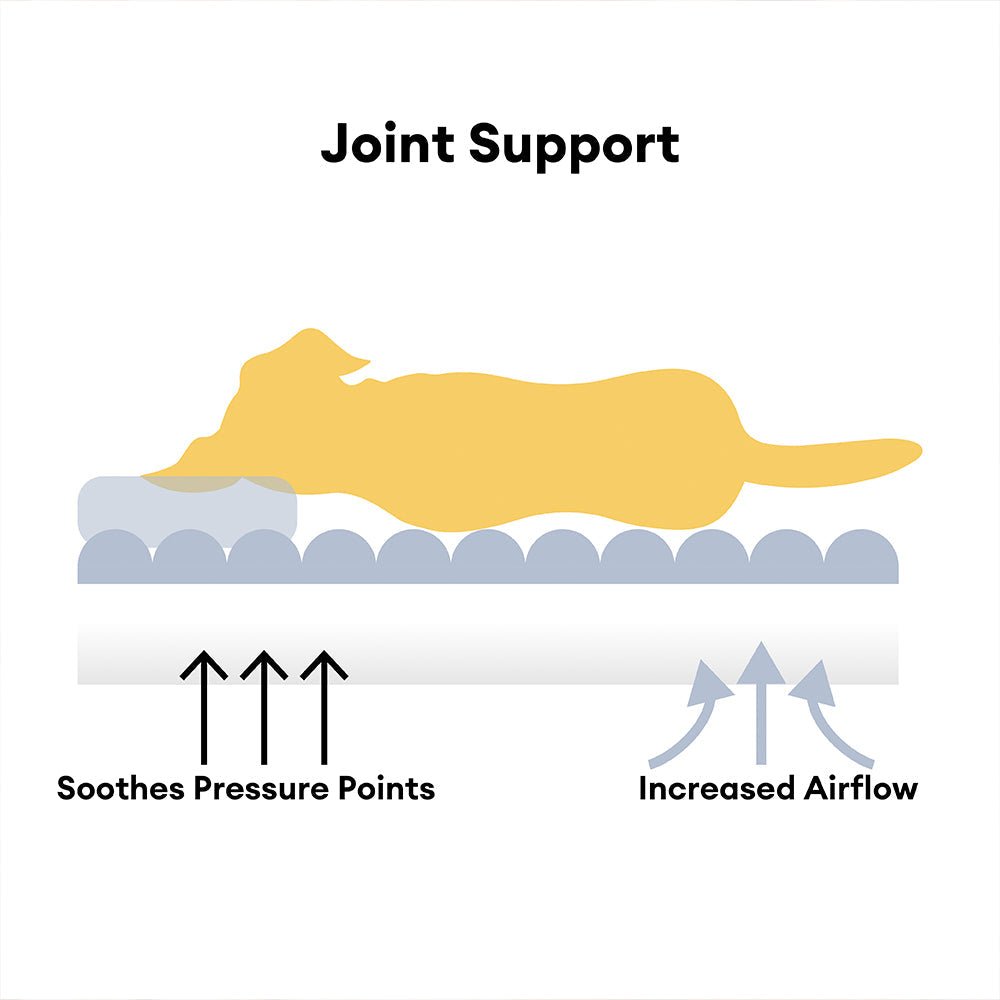 Washable Fluffy Orthopedic Dog Sofa Bed – Pup Buddy™ - Pup Buddy