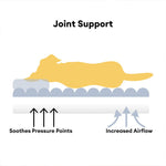 Washable Fluffy Orthopedic Dog Sofa Bed – Pup Buddy™ - Pup Buddy