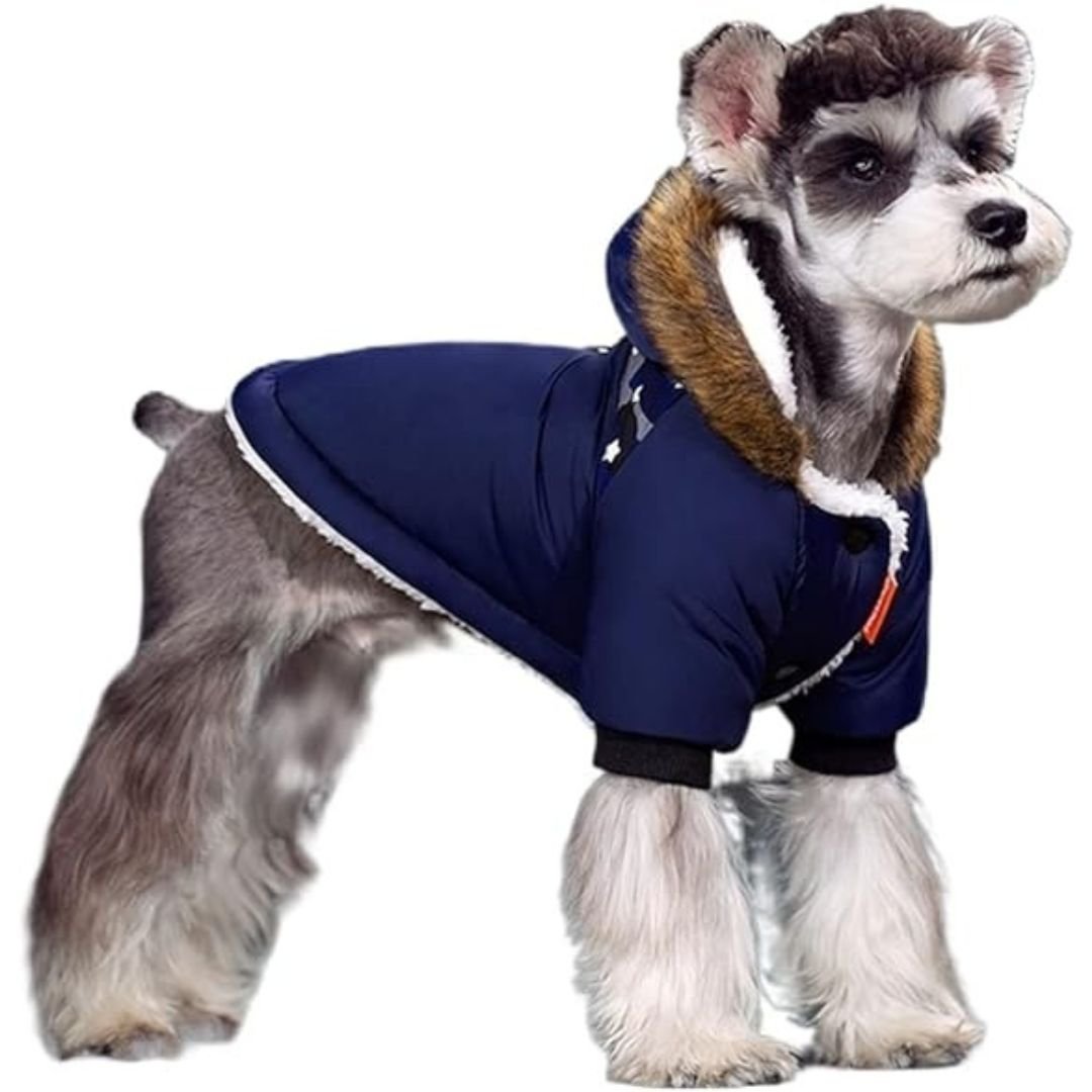 Warm Rainproof Dog Coat with Fur Hood - Pup Buddy