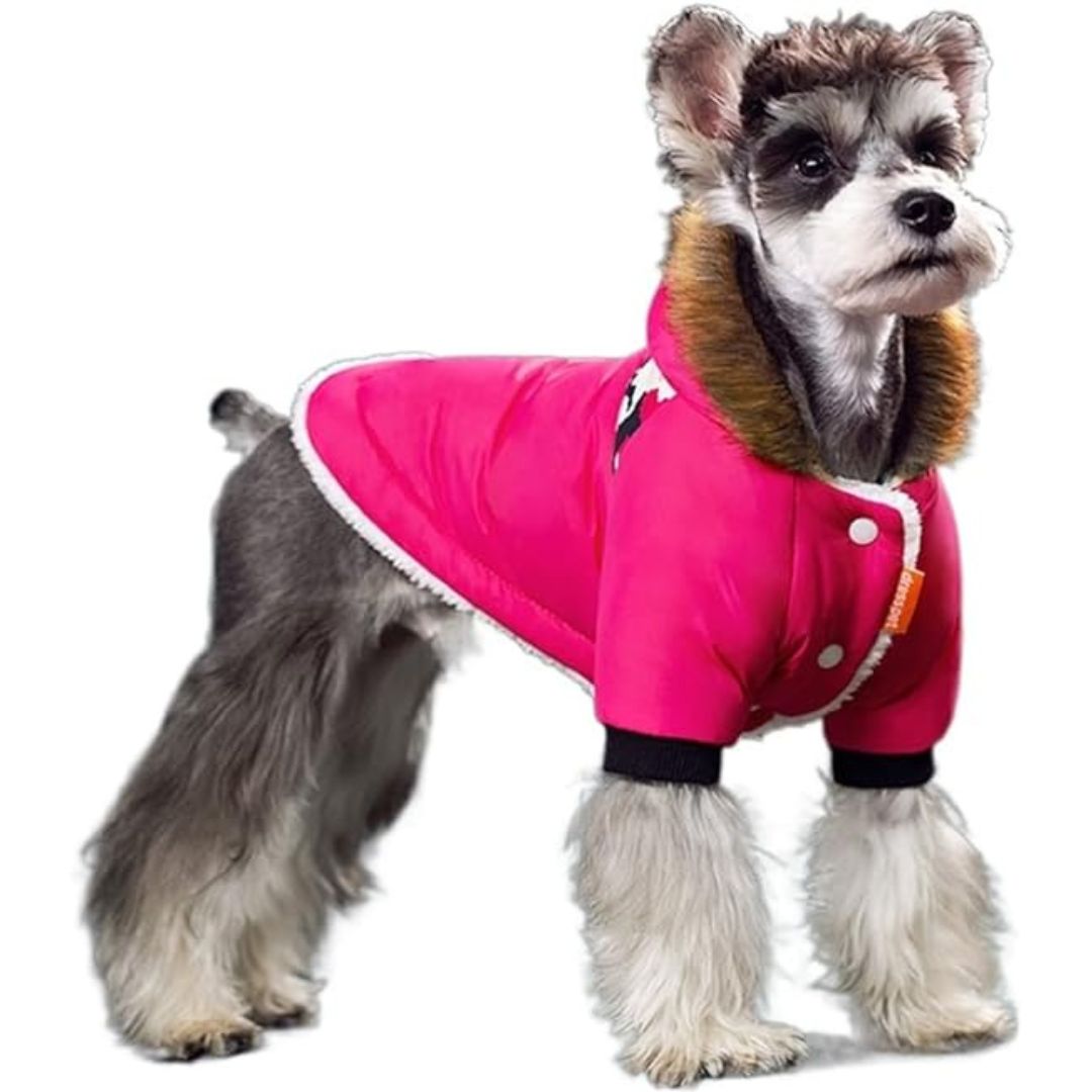 Warm Rainproof Dog Coat with Fur Hood - Pup Buddy