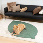 Green Leaf Pet Mat - Pup Buddy