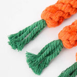 Carrot Rope Toy - Pup Buddy