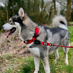 Swivel Combat Lead 1.5m - K9 - KO - Pup Buddy