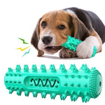 Dog Chew Toy for Molar Cleaning and Teeth Care - Pup Buddy