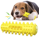 Dog Chew Toy for Molar Cleaning and Teeth Care - Pup Buddy