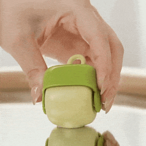 Quick Clean Reusable Washable Lint Roller Buddy