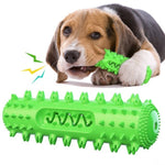 Dog Chew Toy for Molar Cleaning and Teeth Care - Pup Buddy