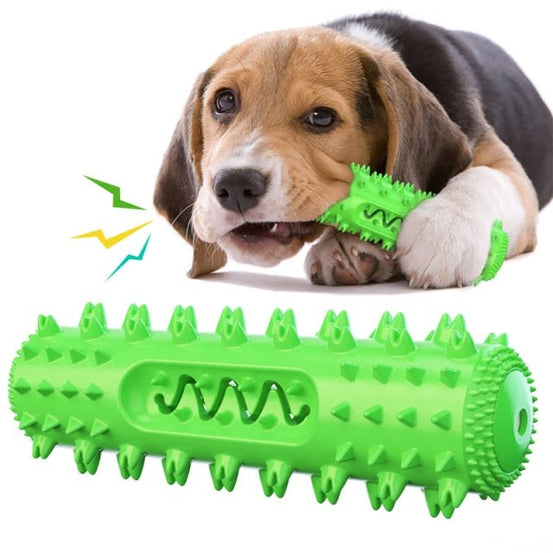 Dog Chew Toy for Molar Cleaning and Teeth Care - Pup Buddy
