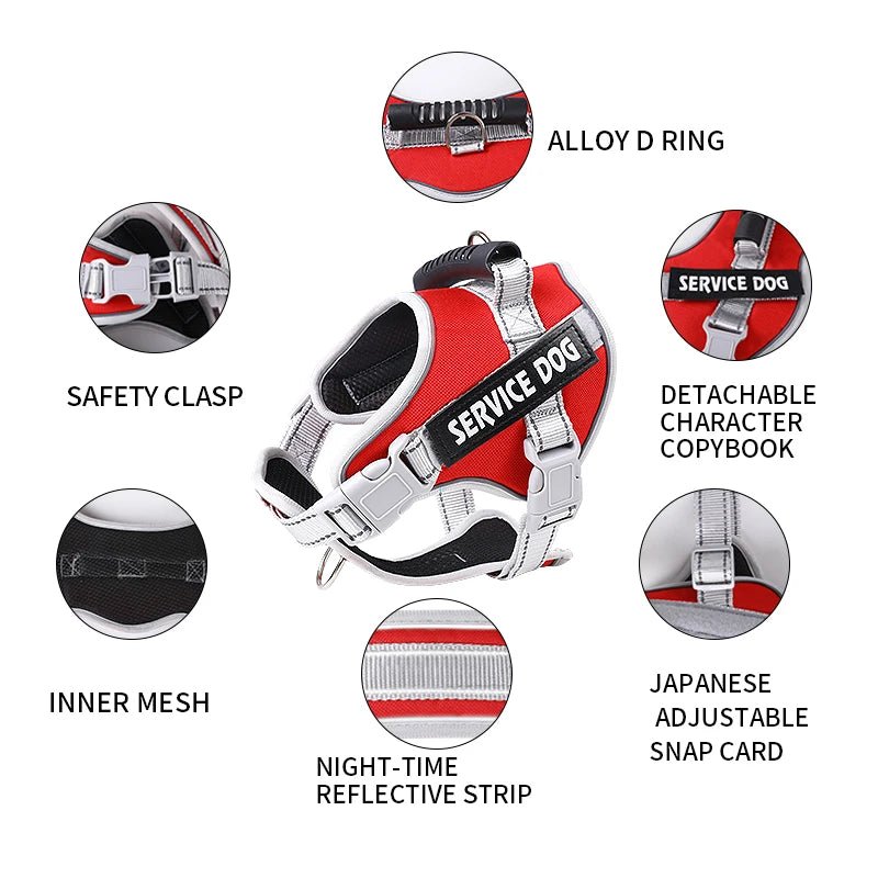 Personalized No Pull Dog Harness with Handle - Pup Buddy ™ - Pup Buddy