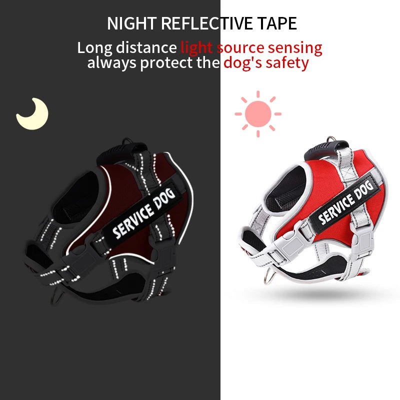 Personalized No Pull Dog Harness with Handle - Pup Buddy ™ - Pup Buddy