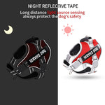 Personalized No Pull Dog Harness with Handle - Pup Buddy ™ - Pup Buddy