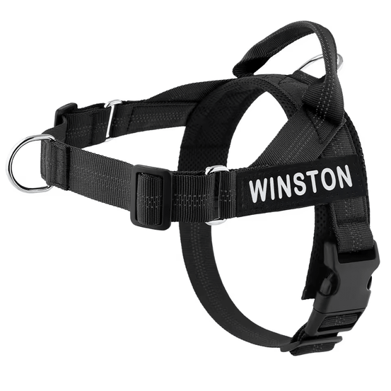 Personalized Control Dog Harness - Pup Buddy