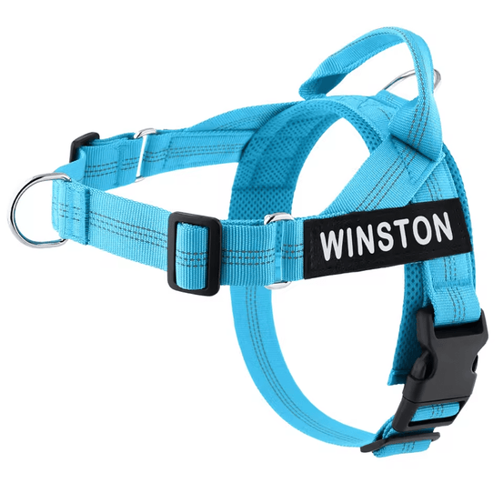 Personalized Control Dog Harness - Pup Buddy