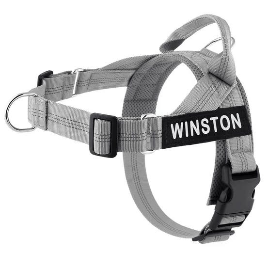 Personalized Control Dog Harness - Pup Buddy
