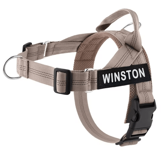 Personalized Control Dog Harness - Pup Buddy
