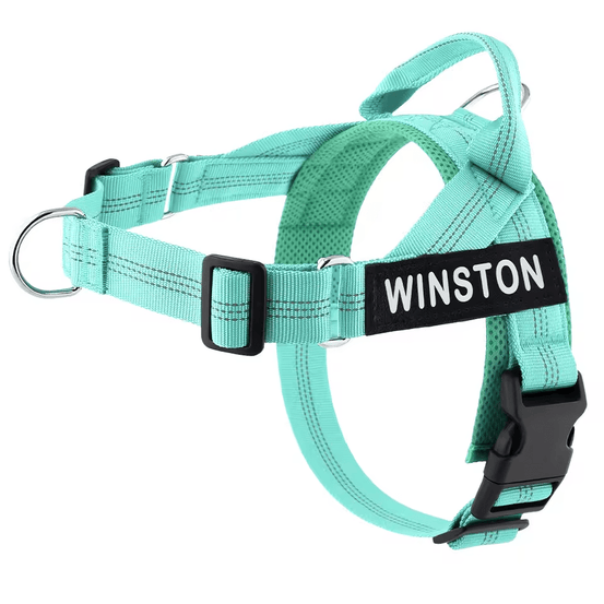 Personalized Control Dog Harness - Pup Buddy