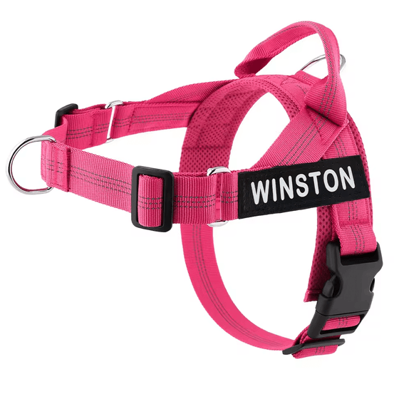Personalized Control Dog Harness - Pup Buddy