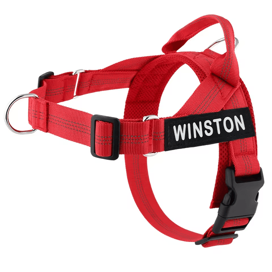 Personalized Control Dog Harness - Pup Buddy