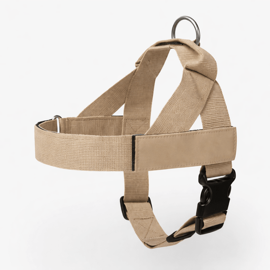 Personalized Control Dog Harness - Pup Buddy