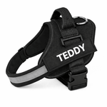 Personalized No - Pull Dog Harness with Name - Pup Buddy