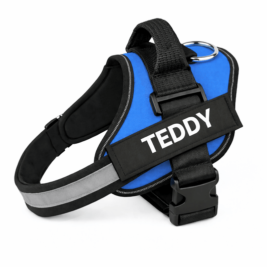 Personalized No - Pull Dog Harness with Name - Pup Buddy