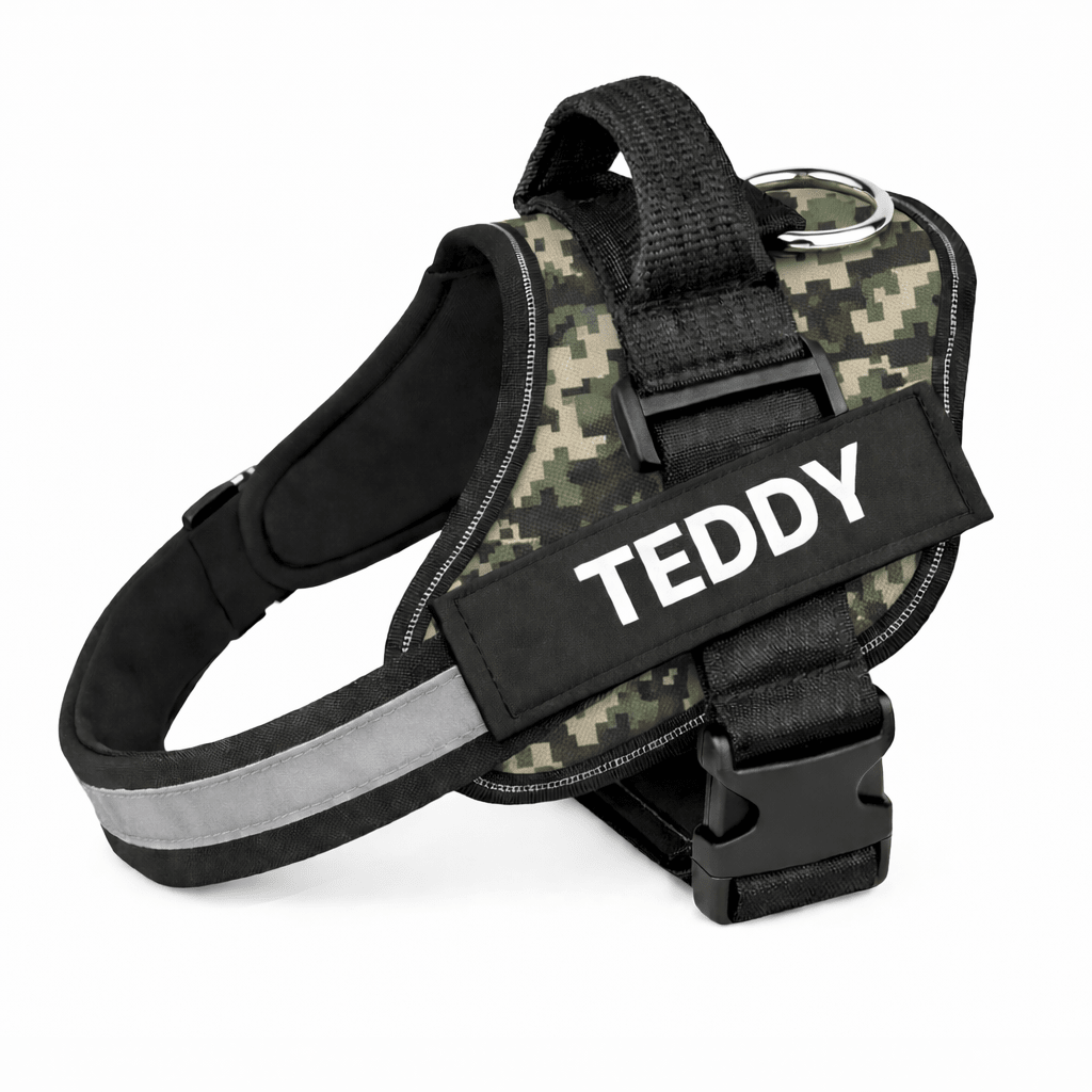 Personalized No - Pull Dog Harness with Name - Pup Buddy