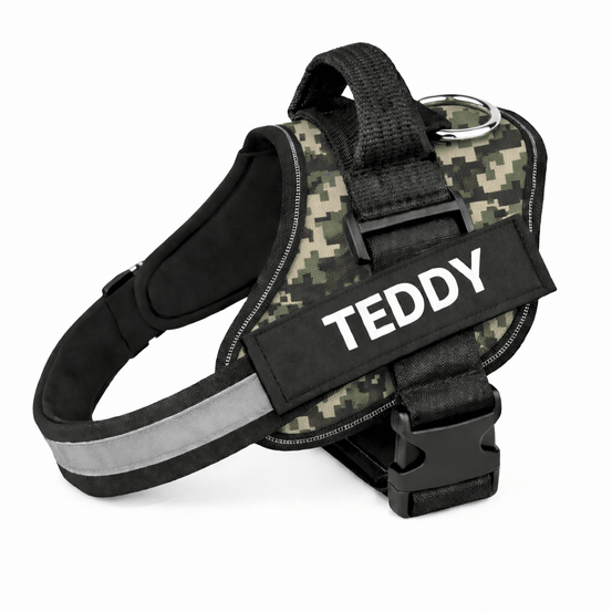 Personalized No - Pull Dog Harness with Name - Pup Buddy