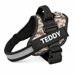 Personalized No - Pull Dog Harness with Name - Pup Buddy