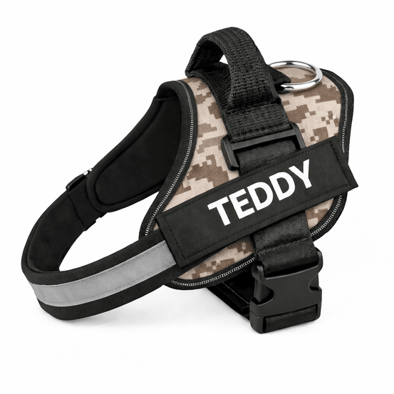 Personalized No - Pull Dog Harness with Name - Pup Buddy