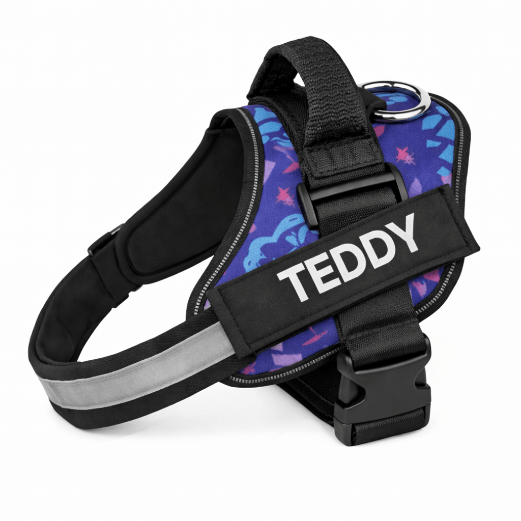 Personalized No - Pull Dog Harness with Name - Pup Buddy