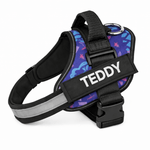 Personalized No - Pull Dog Harness with Name - Pup Buddy