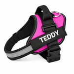Personalized No - Pull Dog Harness with Name - Pup Buddy