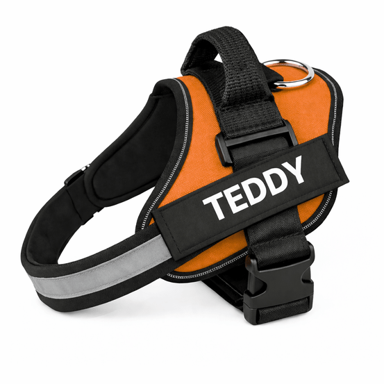 Personalized No - Pull Dog Harness with Name - Pup Buddy