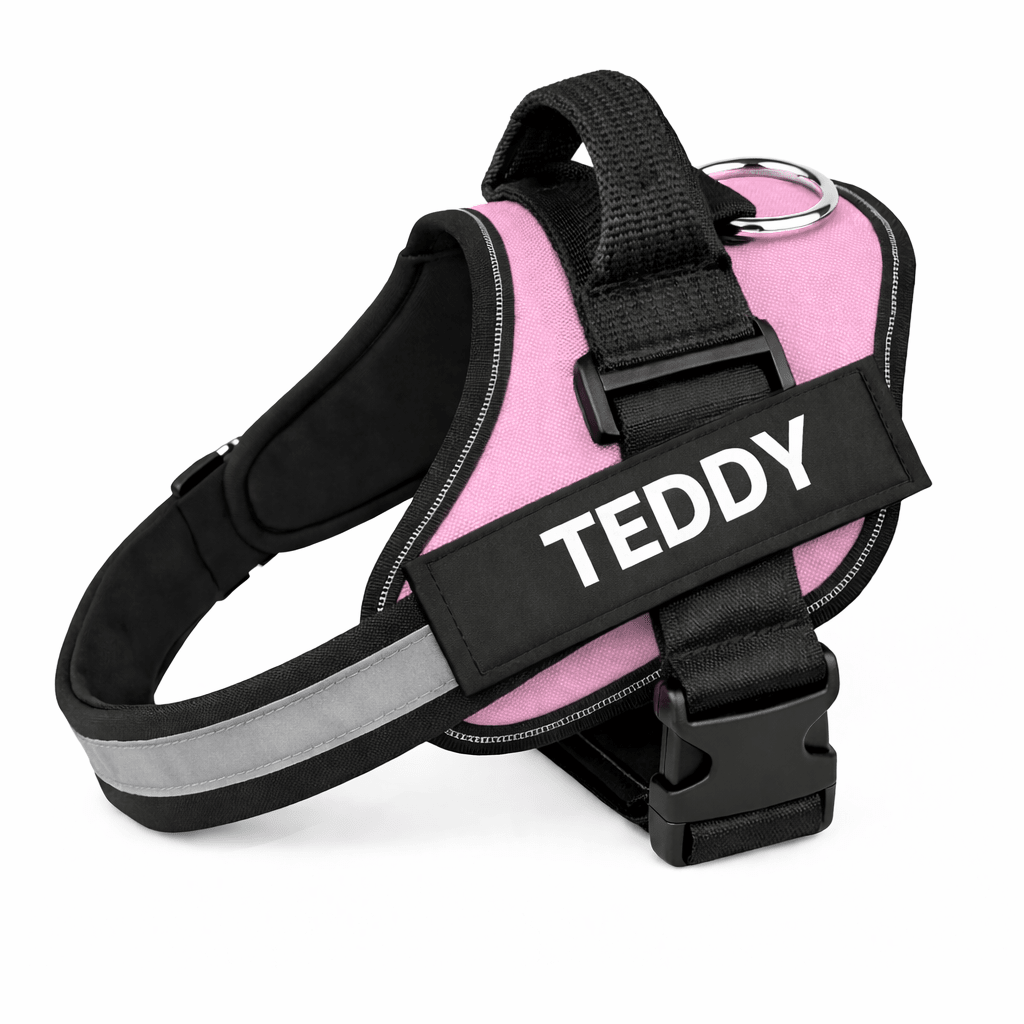 Personalized No - Pull Dog Harness with Name - Pup Buddy