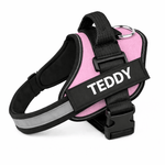 Personalized No - Pull Dog Harness with Name - Pup Buddy