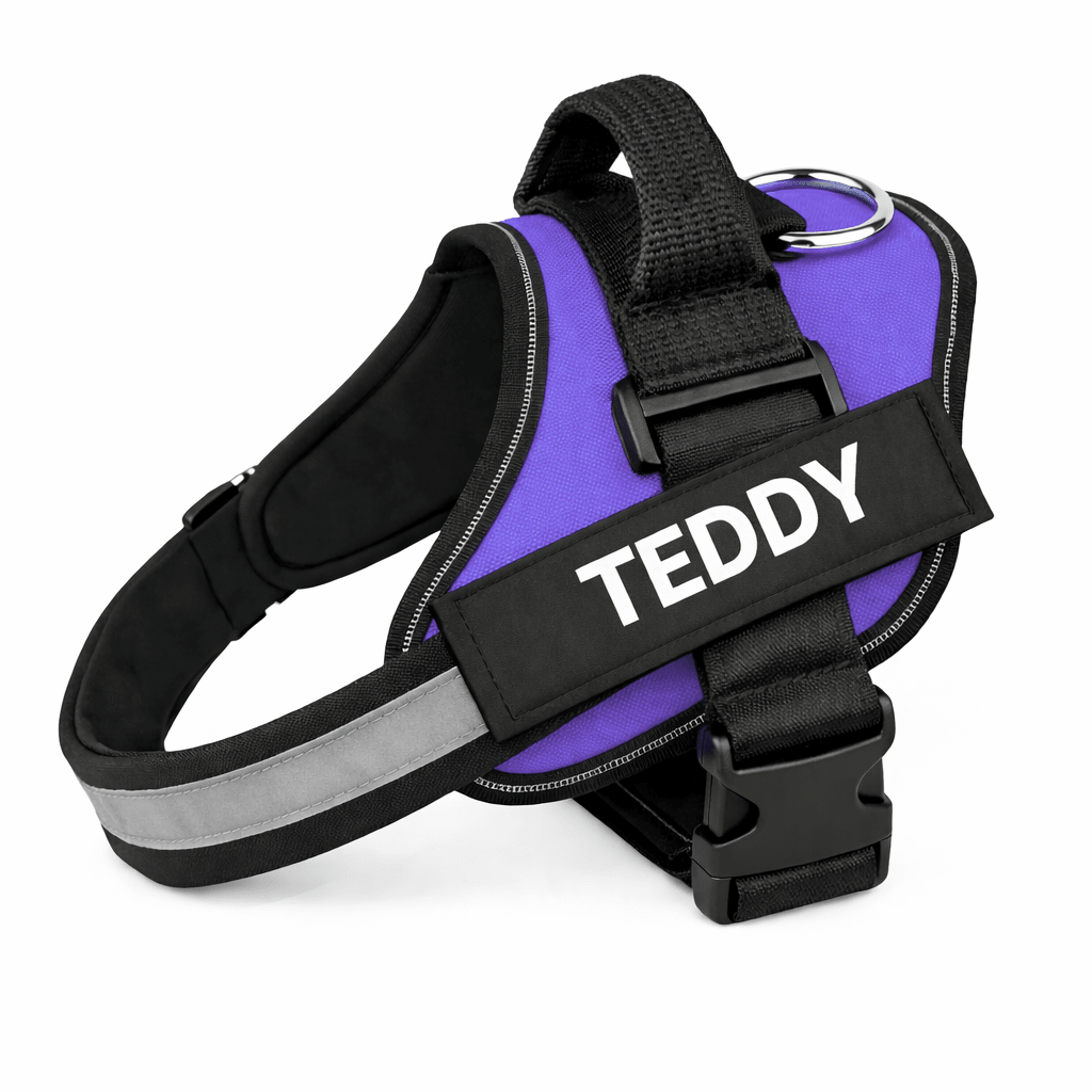 Personalized No - Pull Dog Harness with Name - Pup Buddy