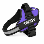 Personalized No - Pull Dog Harness with Name - Pup Buddy