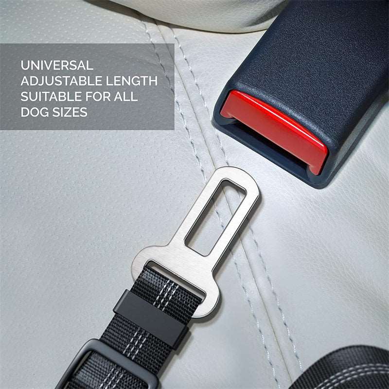 Durable Nylon Reflective Bungee Seat Belt For Car Safety - Pup Buddy