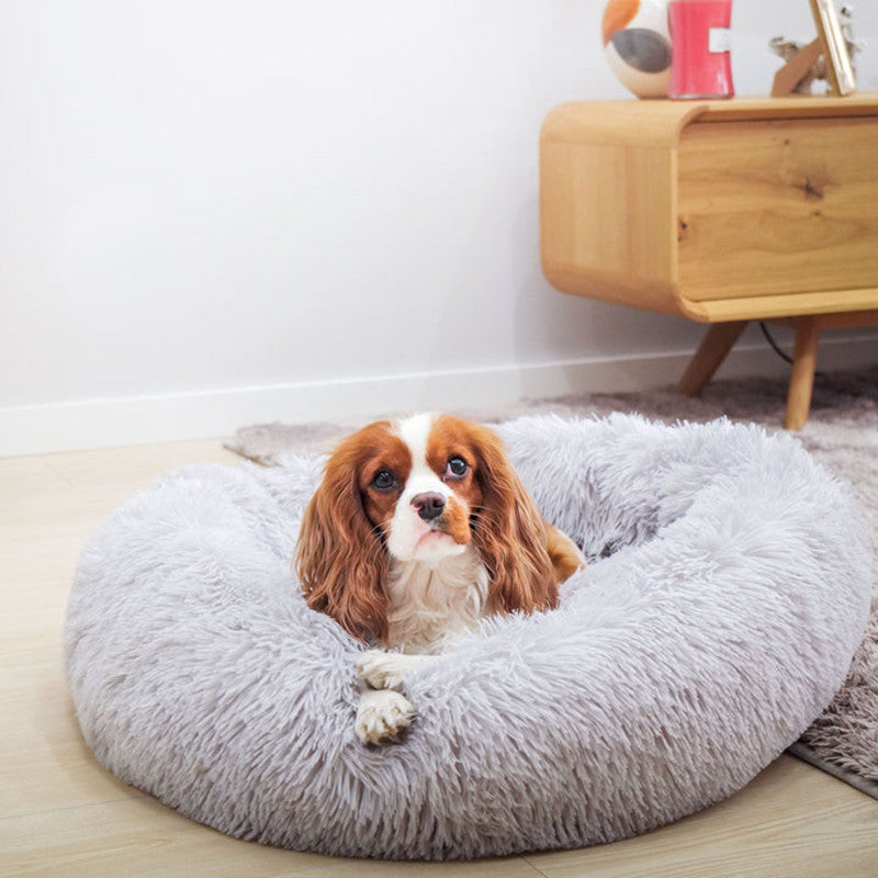 Cosy Calming Dog Bed