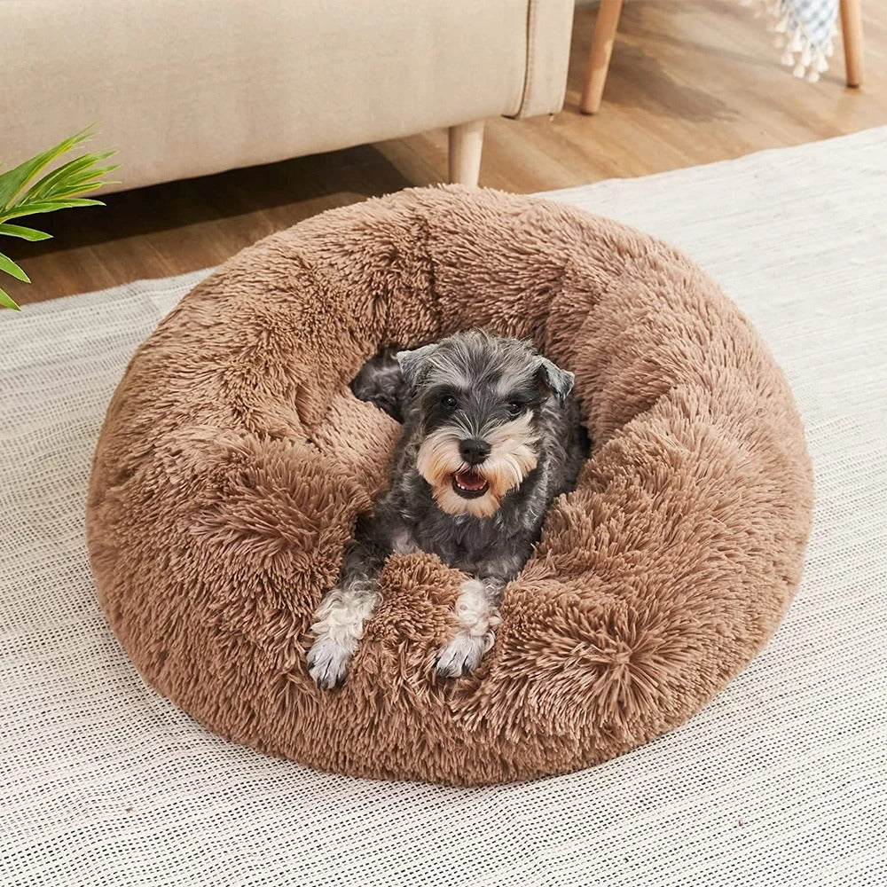 Cosy Calming Dog Bed