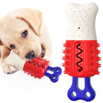 Dog Molar Sticks Chew Bite Cooling Frozen Dog Toy - Pup Buddy
