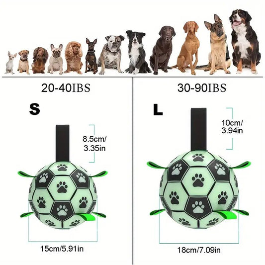 Dog Football Buddy - Pup Buddy