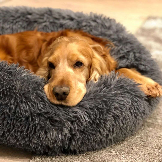 Cosy Calming Pet Bed - Pup Buddy